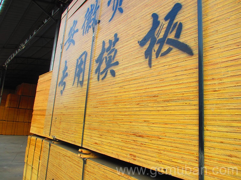 建筑木模板多少一張？價格貴不貴