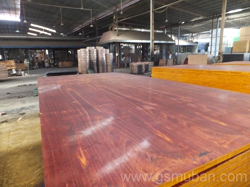 什么是桉木模板？廣西模板廠家推薦